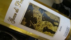 Candia dei Colli Apuani DOC «Gocce di Pietra» Podere Scurtarola Pierpaolo Lorieri 2008 Zona del Candia, viticoltura eroica su terrazze strappate alla montagna (che di collina diviene difficile parlare qui…), il marmo che affiora, la fatica della coltivazione, tutto fuso nell’etichetta di questo...