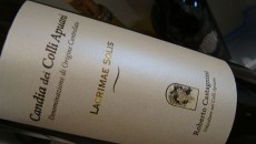 Candia Colli Apuani «Lacrimae solis» Roberto Castagnini Amabile 2009 Una categoria (amabile) tradizionale e ricca di storia per un vino in punta di piedi che ci fa sentire note vicini davvero a certi Furmint ungheresi con una speziatura diffusa...