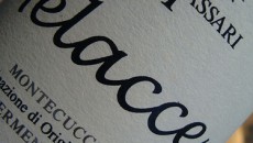 Montecucco DOC Vermentino «Melacce» Collemassari 2009 Esempio dei più lampanti della moderna enologia applicata ad un vitigno già di per sè adatto al mare, ecco un Vermentino che raccoglie influssi marini non poi così troppo lontani...