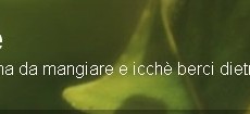 Panta rei, compreso il blog Tre anni sulla rete sono tantissimi ed equivalgono 8tipo l’età dei cani) ad almeno 21 di vita normale, quindi il tema del blog andava comunque cambiato. Poi ieri (martedì) lo...