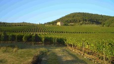 I Veroni Chianti Rufina: Anteprima Vino di una Notte di Mezza Estate 22 Luglio I Veroni prende il nome dagli antichi essiccatoi di tabacco, presenti anche nella zona della Rufina dove ha sede questa giovane azienda guidata da Lorenzo Mariani e portata avanti sul...