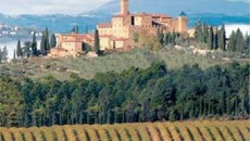 Parlare di cultura del vino e tralasciare Montalcino sarebbe un delitto visto che si deve a questo piccolo borgo e aziende come Banfi l’aver intrapreso un grande lavoro di comunicazione...