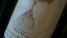Barbera del Monferrato Casa Wallace 2009 Naso pronto vivace e immediatamente simpatico, da osteria, lampone fragola ribes, leggera nota fumè con un po’ di nota sulfurea appena accennata, movimenta il quadro. Note di durone, fruttino zuegg...