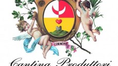 Una cantina che vede il lavoro in sinergia di oltre 200 coltivatori ha un ruolo fondamentale in un territorio e fare vino di qualità è solo uno dei motivi per...