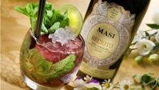 Il Mojito con il Recioto della Valpolicella, la tendenza dell’estate 2010 di Masi a God Save The Wine Masi, storica azienda veronese produttrice di famosi Amarone della Valpolicella come il Costasera, ha presentato a God Save The Wine, il “Mojito degli Angeli”, un cocktail inedito davvero speciale che...