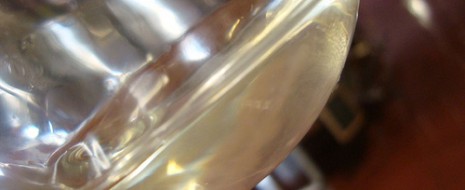 Continuiamo a presentarvi le aziende che il prossimo 23 giugno animeranno la serata (e nottata) a Villa Bardini . Per ciascuna, pubblicate anche su FirenzeSpettacolo cinque domande su il vino...