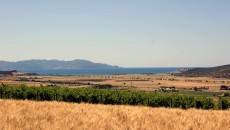 Castello di Bossi: Anteprima Vino di una notte di mezza Estate 22 Luglio La Famiglia Bacci abbraccia la Toscana del vino dalla Costa (Terre di Talamo con Morellino di Scansano, Vermentino e un rosato) fino a Montalcino (Renieri con Brunello, Rosso e Syrah...
