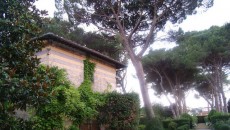 Fattoria Montellori, la ricerca della bevibilità e il gusto della sfida del metodo classico in Toscana Dal sogno un pò ardito ma ormai solida realtà del metodo classico in Toscana fino al Dicatum, sangiovese in purezza di stoffa e classe ma sempre memore delle proprie origini,...
