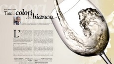 L’estate vuole d’obbligo una rassegna di vini bianchi adatti alla bella stagione…ma come la mettiamo quando i colori si moltiplicano? Oggi, ne parliamo appunto su Business People in edicola,  non...
