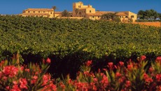 Durante God Save The Wine in mezzo alle farfalle, spazio anche alla Sicilia con Feudi di Butera che ha portato il loro prezioso Deliella e altre versioni di Nero d’Avola,...