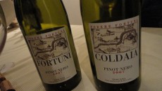 La Fortuna si chiama Mugello: il Pinot Nero e il terroir toscano a God Save The Wine Storia ormai famosa e molto citata quella che ha portato alla nascita del Podere Fortuna e dei famosi Pinot Nero del Mugello. Ma sentiamo da Simone Menichetti, cantiniere e factotum...