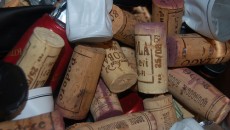 Pinot Nero in Toscana: è arrivata la nouvelle vague? LA serata è stata sentita, partecipata e ricca con i produttori in gara tutti presenti in incongnito e molti altri tra produttori enologi ed agronomi presenti in cerca di spunti...