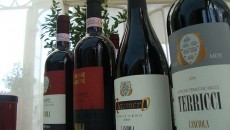 Leoni, galli neri, farfalle e ricci sono gli animali che si possono incontrare parlando di una realtà come Lanciola in una serra piena di farfalle durante God Save The Wine....