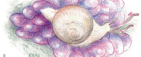Parlare di etichette nel mondo del vino è sempre di gran voga, specie quando diviene il modo più diretto per legare arte e cultura al prodotto della vite. Curiosa la...