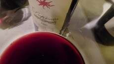 Eccoci alla dimostrazione lampante che il Lupicaia, come i lupi nella zona del fiume omonimo, se ne sta acquattato pronto a scattare su. Il balsamico e le note di menta...