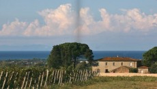 Gianni Annibale Rossi di Medelana con noi a presentare i gioielli del Castello del Terriccio , dal Con Vento Sauvignon blanc al Tassinaia fino a 2 annate di Lupicaia, l’ultima...