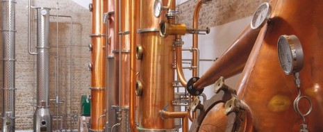 Marchio tra i più noti e rappresentativi per la distillazione trevigiana e non solo, Bottega è anche Prosecco e comunque un impegno a 360 gradi nel mondo del bere che...