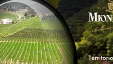 Tra i vini che hanno salvato l’Italia all’estero negli ultimi anni, il Prosecco merita molta più considerazione tra gli amanti di vino di qualità. Certo non tutto quanto troviamo a...
