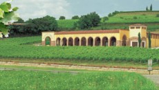 Per esempio conoscere Stefania Magnabosco  di Montetondo, una delle aziende più dinamiche dell’area del Soave, ha significato avere qualche bella conferma in merito alle capacità di analisi delle persone mediante...