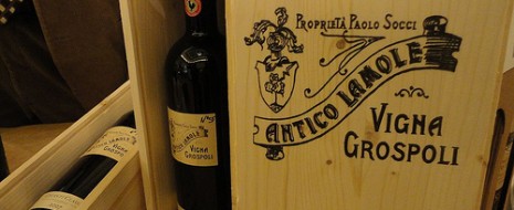 Non solo una grandissima opera di ricostruzione storica ed enologica, concretizzata nell’introvabile Vigna Grospoli 2006, ma anche una dimostrazione continua di come un terroir possa esprimersi con qualsiasi uvaggio abbia...