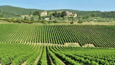 I navigatori e il vento in Maremma e l’idea del Chianti Classico, Rocca delle Macie e la cultura delle produzioni toscane Dietro una etichetta si possono trovare molte parole e molte indicazioni e citazioni famose…ma se invece trova spazio una massima senza tempo dei marinani toscani significa che oltre le apparenze...