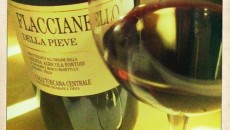 Ricchezza di estrazione e profumi sono due delle chiavi classiche del Flaccianello e non fa eccezione questo 2004 che cogliamo in una fase in cui la frutta è appena calata...