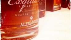 La grappa è un fenomeno e un prodotto unico e italiano nel campo dei distillati ma troppo spesso derubricato a fine pasto come semplice digestivo. Invece è un mondo (forse...