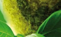 Serata al pesto con Roberto Panizza, Scuola di Pesto da Burde con mortaio e pestello tutti insieme algrande profeta del pesto di Genova in una cena laboratorio dalle mille sorprese…...