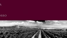 PoggioRosso e il terroir degli Etruschi a Vino da Star 28 Aprile Firenze Tra le località più note e fascinose del litorale toscano, Baratti e Populonia sono anche luoghi storici fondamentali della nostra cultura regionale in quanto tra i siti più importanti del popolo etrusco...