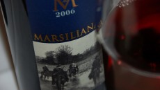 La Marsiliana Tenuta La Marsiliana IGT Maremma 2006 Le grand vin è costruito su merlot e cabernet ma l’età dei vigneti e l’apporto di grenache, mourvedre, syrah, tannat e petit verdot si fa sentire se non nei singoli...