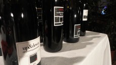Casavyc da Scansano a Vino in Parlamento Hotel Bernini mercoledì 14 Dicembre | God Save The WineChristmas La Maremma è certo la zona di frontiera del vino toscano con realtà nuove che provengono spesso da lontano e che portano in questa terra freschezza di idee e voglia...