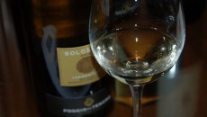 Da Bolgheri, zona ormai famosa per i suoi Vermentino molto strutturati tropicali e fruttati, un vino in controtendenza più vicino alla realtà vera del Vermentino mediterraneo. Già dal colore vince...