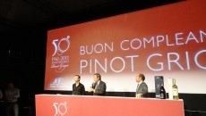 Festeggiare i 50 anni di un successo mondiale che tanto ha contribuito a far affermare i nostri prodotti all’estero è sempre una grande soddisfazione e il Pinot Grigio di Santa...