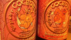 La Vapeur Cochonne 9%vol La Brasserie à Vapeur (Pipaix) Birra d’abbazia da parte di questa importante Brasserie , birra impegnativa con cicoria, coriandolo, scorza d’arancio dolce. Merita attenzione già dal cappello imponente di schiuma densa, il colore ambrato molto...