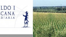 Piccola distribuzione ma interessante con prodotti  mai banali. Se già conosciamo Monterinaldi dal Chianti Classico forse vi “manca” Leopoldo I di Toscana con sede a Bibbona, luogo vitato molto più...