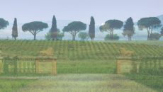 Se c’è un gruppo italiano del vino che ha sempre puntato su freschezza delle proprie proposte e costante innovazione anche nella comunicazione, questo è sicuramente il Gruppo Terra Moretti che...