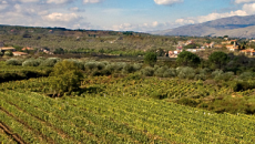 L’Etna e la sua magia a Firenze per Vino di una Notte di Mezza Estate con Antichi Vinai, 21 Luglio Terrazza Bardini God Save The Wine! Pensando all’Estate, è inevitabile andare con la testa in Sicilia con alcuni tra i panorami e i litorali più suggestivi d’Europa. Ma ciò che fa pulsare e in parte che...