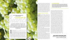 Questo mese su Business People si parla di Bianchi italiani cercando di approfondire il “fenomeno” e alcune loro caratteristiche che li rendono commercialmente molto più importanti di quanto si creda…...