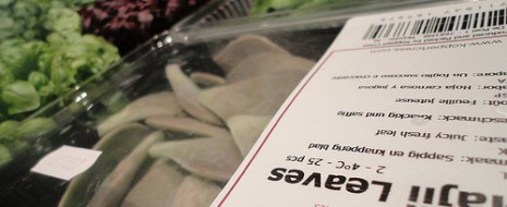 In effetti leggere un menu con ostriche vodka & red bull condite con misteriosi germogli Blue Ocean o di una zuppa honny cress e coniglio e varie altre amenità come ...