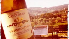 La cultura del vino è una sola, Maremma o Chianti che sia: Castello di Poppiano tra tradizione e nuovi vitigni Il Conte Ferdinando Guicciardini ha la sua solida fortezza al Castello di Poppiano ma anche una delle realtà produttive più grandi in maremma con Massi di Mandorlaia a 10 km...
