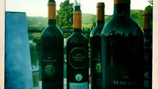 La famiglia Trabucchi con la loro azienda biologica ormai da decenni, ha uno scopo preciso ovvero quello di portare la Valpolicella sulle nostre tavole in tutte le sue sfumature rifuggendo...