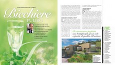 Parliamo seriamente di verde  ma non quello  dei soldi per stavolta ma della cosiddetta “green economy” con tutto quanto si sta muovendo nell’universo eco e bioqualchecosa, forse il settore più...