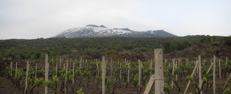 Lo spirito del Vulcano dall’Etna fino alla Toscana | Tenuta di Fessina e Villa Petriolo Difficile trovare due regioni così antitetiche come la Toscana di Cerreto Guidi (zona Chianti) e la zona dell’Etna, piccolo microcosmo cristallizzato all’interno del mutevole scenario enoico italiano e solo recentemente...