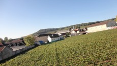 Giornata strana, la prima con il sole, così il gesso è più accecante e ti permette di non pensare alla serata che hai davanti a Reims, la città degli imperatori...