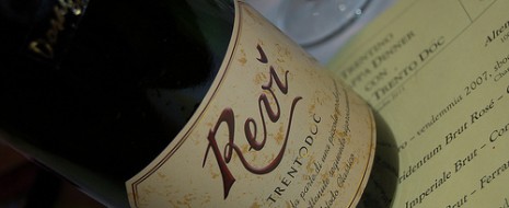 Realtà da scoprire è Revì ad Aldeno con produzione di poco superiore alle 12.000 bottiglie. Si distingue perchè veramente un’azienda “di montagna” con pochi compromessi: vini sempre asciutti e di...