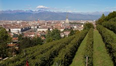 Vigneti in città | Torino, Venezia, Roma, Firenze, Reims, Londra la vite attorno a noi Milano, Roma, Torino, Venezia presto potrebbero non solo essere tra le mete più richieste del mondo in fatto di turismo ma anche luoghi di viticoltura e produzione di vino con...