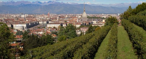 Milano, Roma, Torino, Venezia presto potrebbero non solo essere tra le mete più richieste del mondo in fatto di turismo ma anche luoghi di viticoltura e produzione di vino con...