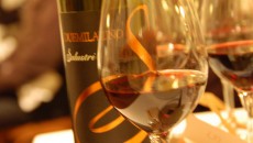 Duemilauno Salustri 2001 – Montecucco – Seggiano (GR) – 100% Sangiovese Una piccola parcella di Sangiovese vinificata a parte ci donano un piccolo capolavoro maremmano con la tipica dolcezza mediterranea al naso e un’ottima impressione di vivacità tra fiori rossi e...