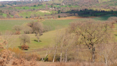 Podere 414 dalla Maremma a a Vino in Parlamento Hotel Bernini mercoledì 14 Dicembre | God Save The WineChristmas Dal rugby alla Maremma e al Morellino, Simone Castelli ha sempe lo stesso entusiasmo e la voglia di lottare per un mondo del vino toscano e italiano che sappia rinnovarsi...