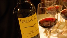 Comanda la mano dell’uomo qui e da Empoli si arriva quasi fino a Montalcino in un attimo. L’attimo in cui la macerazione si allunga e il sangiovese risponde usando la...